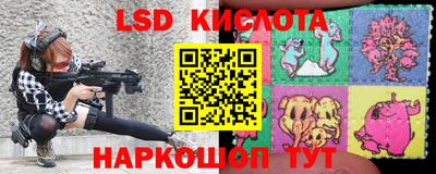 дмт Новодвинск