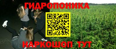 дмт Новодвинск