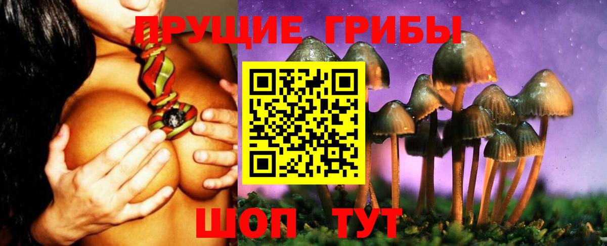 Усть-Илимск  Галлюциногенные грибы Psilocybe  Вход с VPN  Галлюциногенные грибы мухоморы 